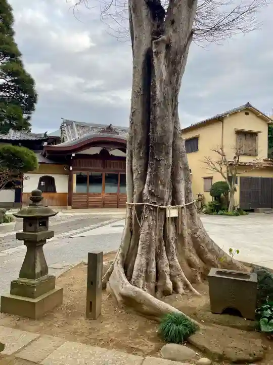 大林寺の{uncategorized: "未分類", other: "その他", undefined: "問題あり", building: "その他建物", grave: "お墓", sacred_gate: "鳥居", guardian: "狛犬", statue: "像", buddha: "仏像", history: "歴史", nature: "自然", garden: "庭園", animal: "動物", pagoda: "塔", temizu: "手水舎", mountain_gate: "山門・神門", sanctuary: "本殿・本堂", subordinate: "末社・摂社", art: "芸術", scenery: "景色", jizo: "地蔵", ema: "絵馬", goshuin: "御朱印", omikuji: "おみくじ", items: "授与品その他", amulet: "お守り", goshuincho: "御朱印帳", eats: "食事", festival: "お祭り", votive_dance: "神楽", shichigosan: "七五三参", wedding: "結婚式", experience: "体験その他", initially: "初詣", around: "周辺", anti_infection: "感染症対策"}