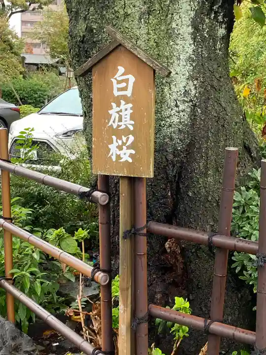 白山神社(東京都)