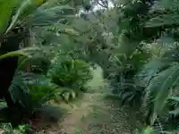 金比羅神社の周辺