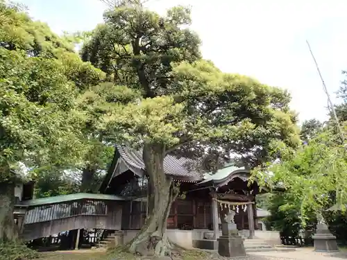 愛宕神社のその他建物