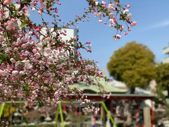 尼崎えびす神社(兵庫県)