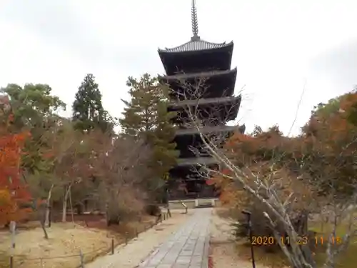 仁和寺の塔