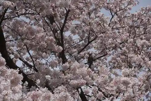 大鏑神社の景色