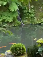 慈恩護国禅寺(岐阜県)