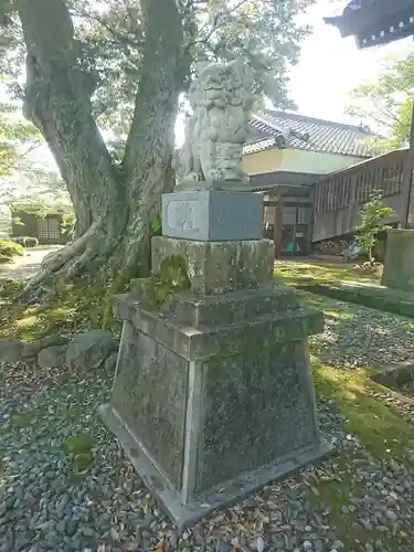 愛宕神社の狛犬