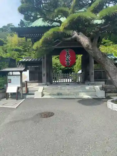 長谷寺(神奈川県)