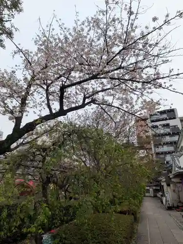 亀戸天神社(東京都)