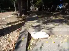 三芳野神社の動物