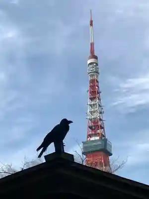 熊野神社(東京都)