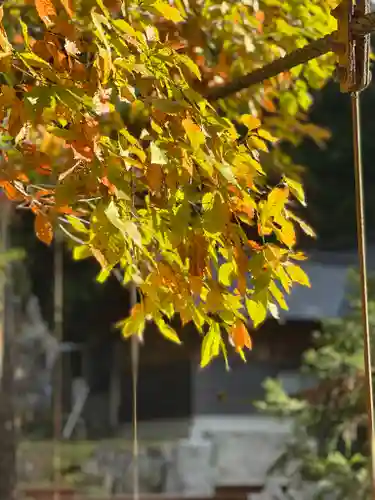 甲斐駒ヶ岳神社の自然