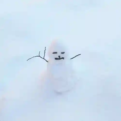 彌彦神社　(伊夜日子神社)の像