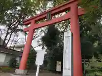 世田谷八幡宮の鳥居