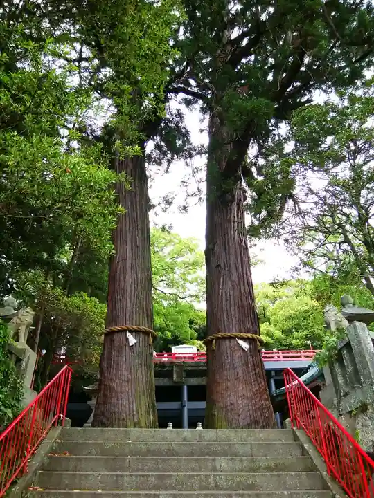 八幡朝見神社の自然