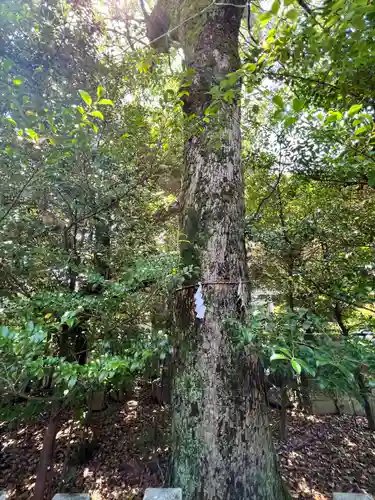 伊勢神社(栃木県)