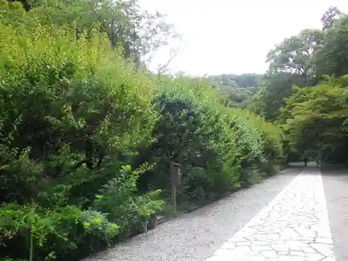 瑞泉寺の庭園