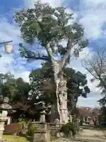 廣瀬神社(埼玉県)