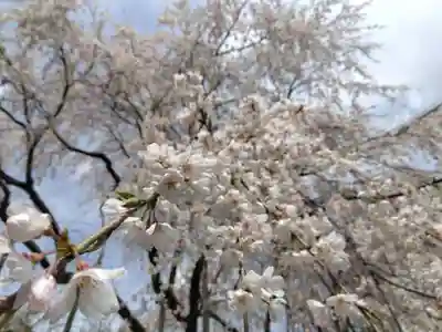 足羽神社(福井県)
