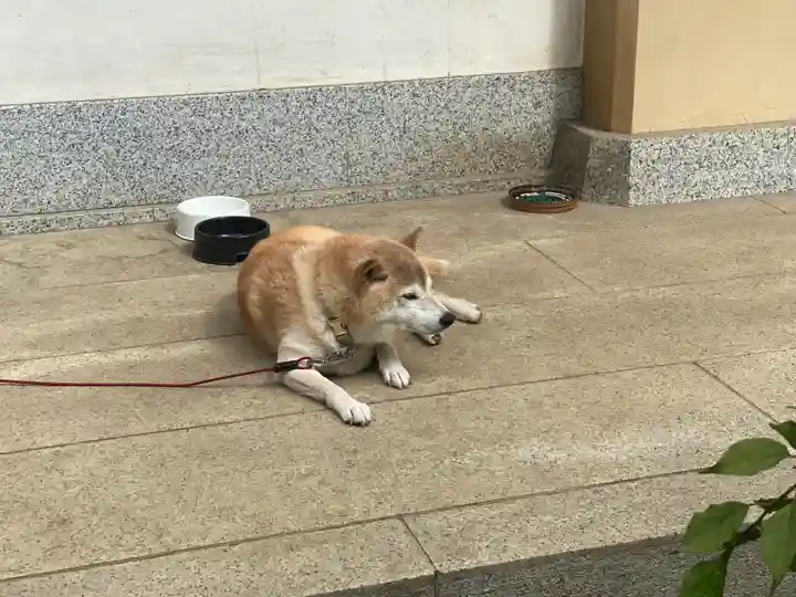 麟祥院(東京都)
