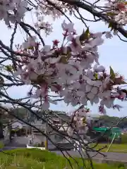 金剛寺(大阪府)