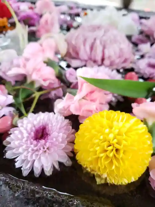 鳩森八幡神社の手水舎