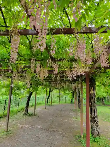 和気神社(鹿児島県)