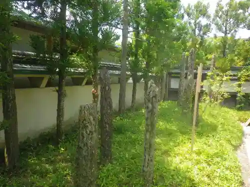 鶴岡八幡宮の自然