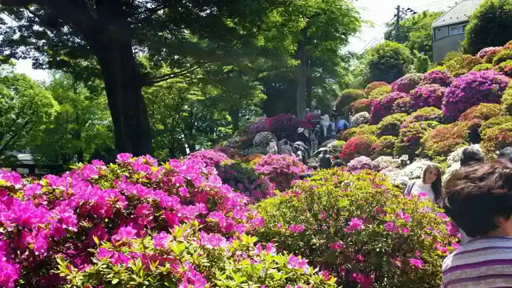根津神社の庭園