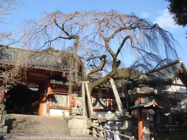 氷室神社の自然