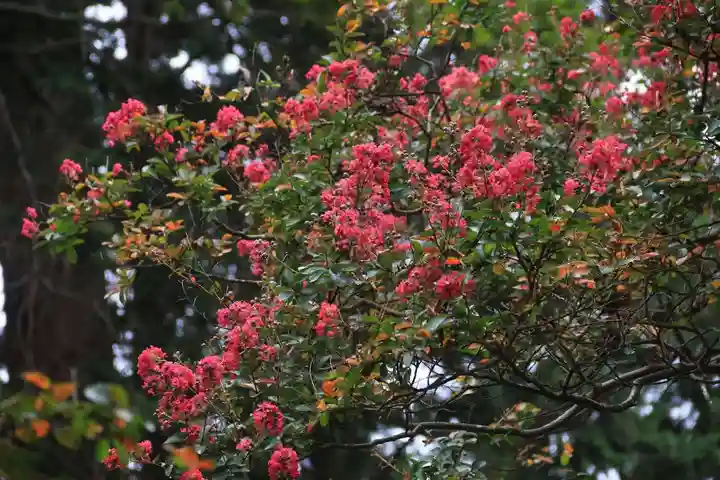 田村神社の自然