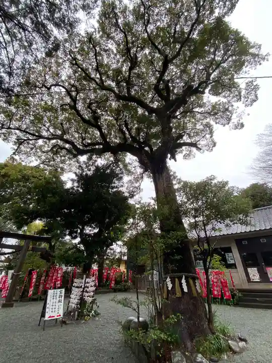 八雲神社(鎌倉・大町)の庭園