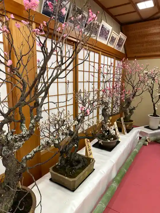 菅原天満宮(菅原神社)(奈良県)