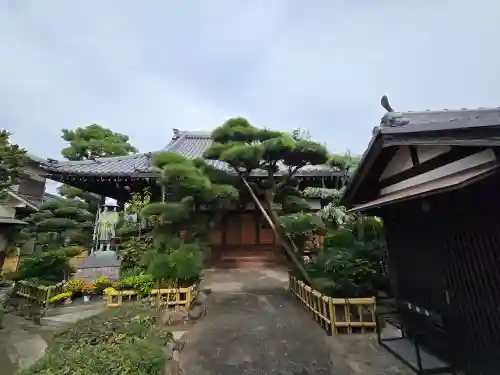 善徳寺(大阪府)
