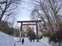 北海道神宮の鳥居