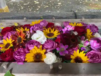 彌彦神社　(伊夜日子神社)の手水舎