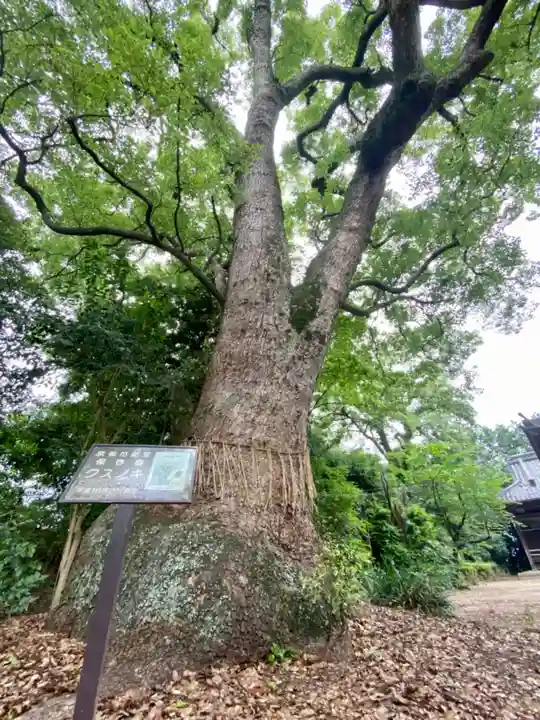 蔵王堂光福寺の自然