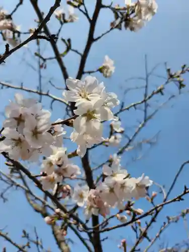 女化神社(茨城県)
