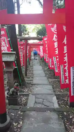 佐助稲荷神社の鳥居