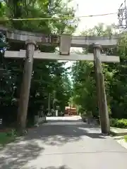 穂高神社本宮の鳥居