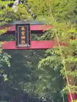 來宮神社(静岡県)