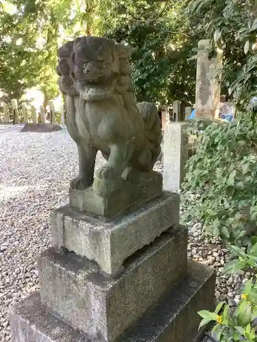白山神社（新栄）の狛犬