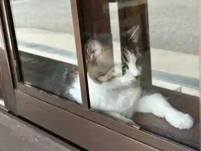 山梨縣護國神社の動物