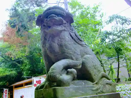 中山神社の狛犬