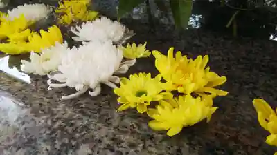 生田神社の手水舎