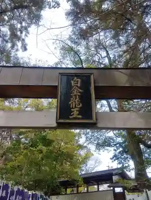 白金龍王社(愛知県)