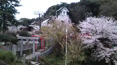 光雲神社(福岡県)