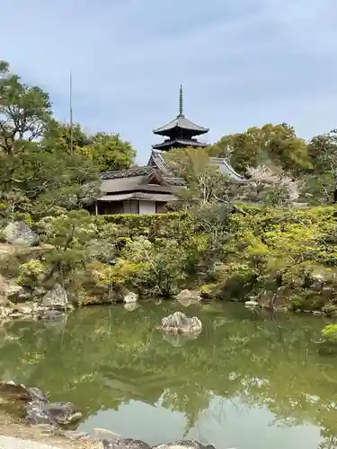 仁和寺(京都府)