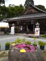 柳谷観音　楊谷寺(京都府)