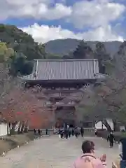 醍醐寺(京都府)