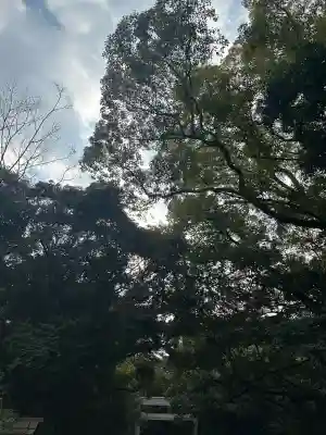 熱田神宮(愛知県)