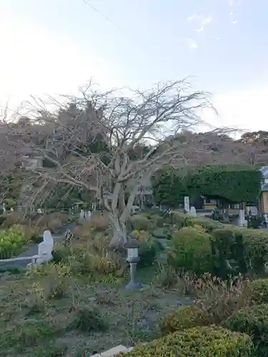 本勝寺の庭園